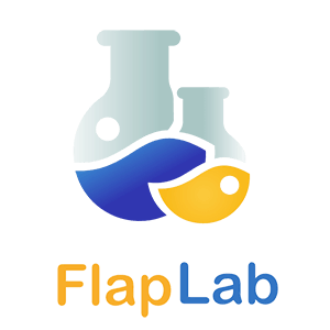 Logo FlapLab Footer